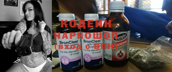 прущие грибы Белокуриха