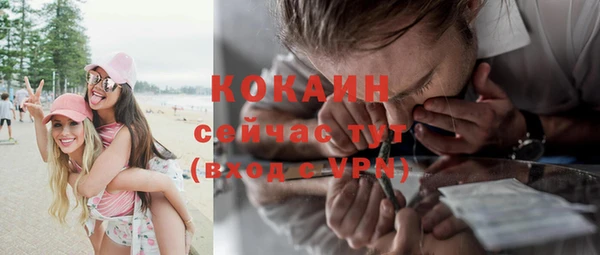 прущие грибы Белокуриха