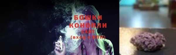 прущие грибы Белокуриха