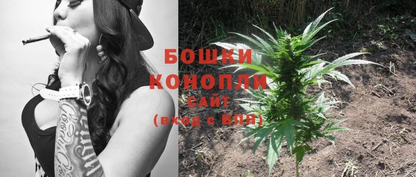 прущие грибы Белокуриха