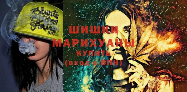 прущие грибы Белокуриха