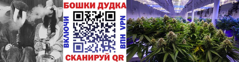 наркота  Нерехта  Конопля Ganja 